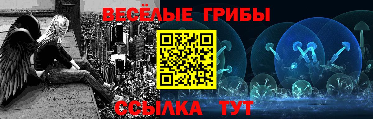 Галлюциногенные грибы мухоморы Элиста