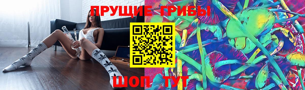Элиста  Галлюциногенные грибы Psilocybine cubensis  Вход с VPN 