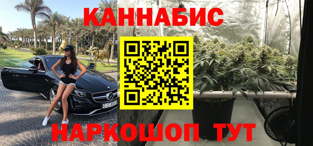 Шишки марихуана планчик  Бошки марихуана AK-47  Элиста  Каннабис MAZAR  Вход с VPN 